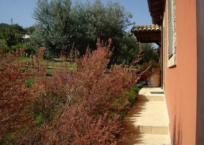 Agriturismo Il Borgo Degli Ulivi